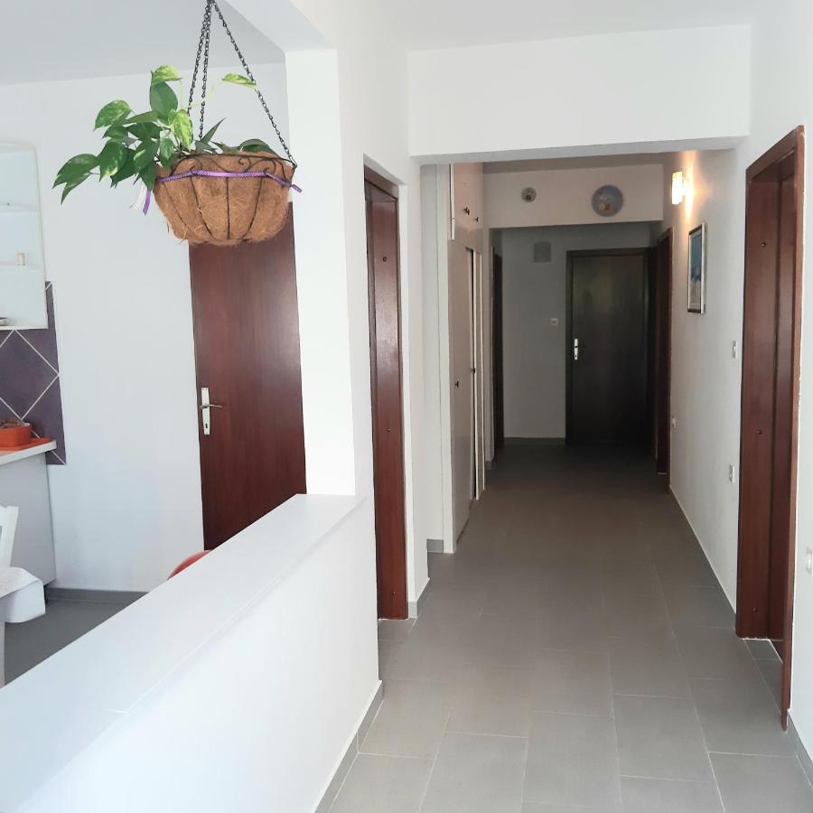 Apartmani Miletic โนวีวีโนดอลสกี ภายนอก รูปภาพ